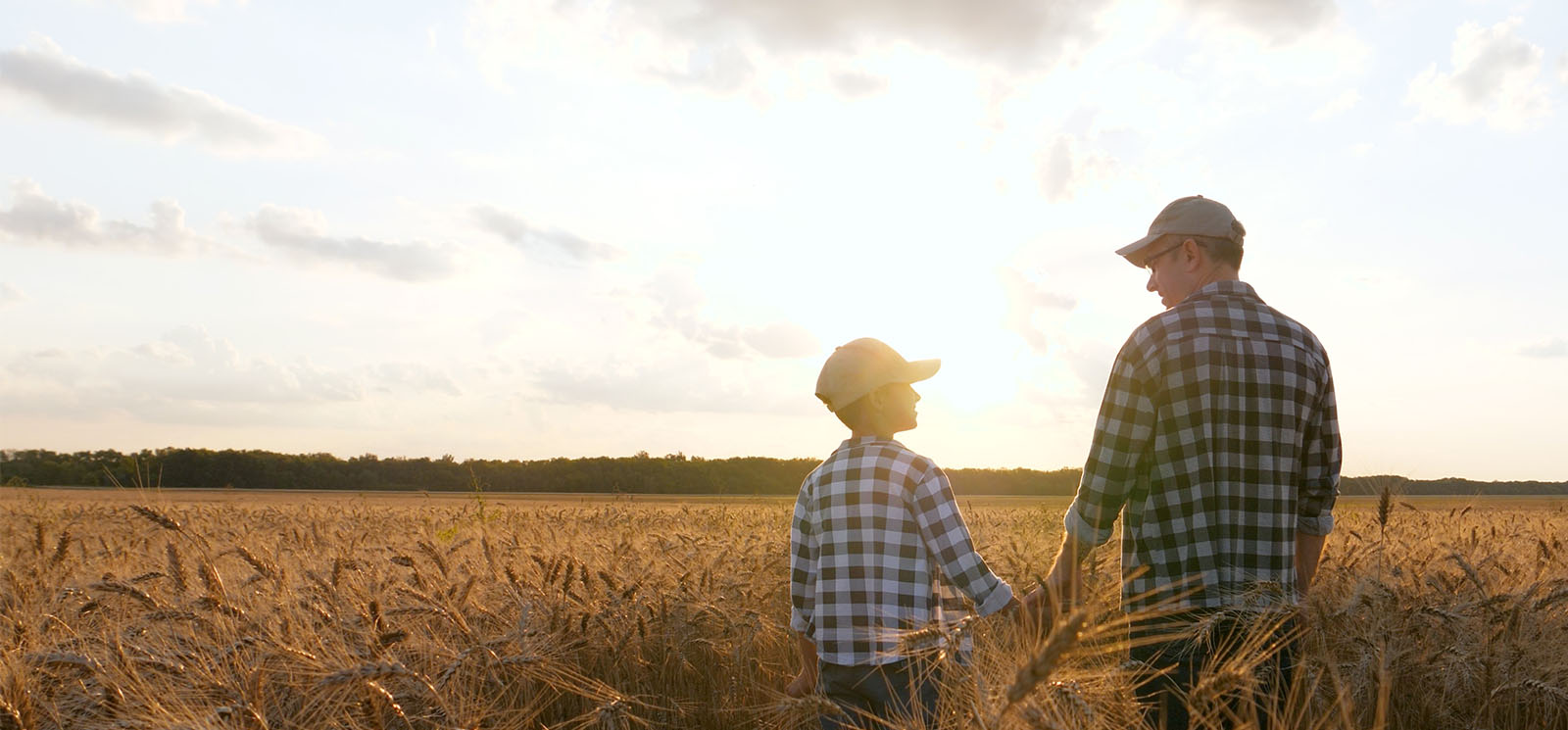 A silhouette of a male farmer holding his son’s hand. Father and son standing in a wheat field.